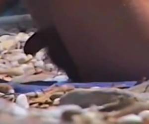 Gay voyeur filmt lekkere jongen op het naturistenstrand